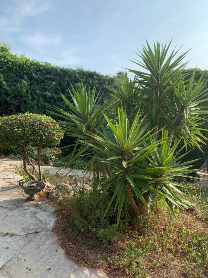 Villa Soledad Cassis Extérieur photo